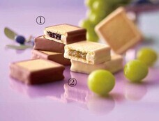 みなとみらいPRセンターのプレスリリース画像11