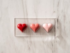 みなとみらいPRセンターのプレスリリース画像8