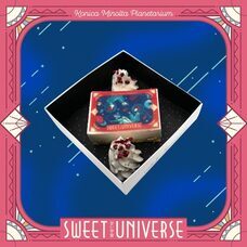 みなとみらいPRセンターのプレスリリース画像11