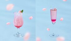 みなとみらいPRセンターのプレスリリース画像7