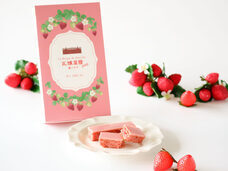 みなとみらいPRセンターのプレスリリース画像14