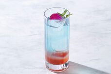 みなとみらいPRセンターのプレスリリース画像3