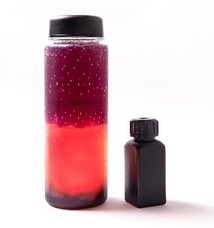 みなとみらいPRセンターのプレスリリース画像4