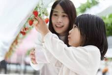 みなとみらいPRセンターのプレスリリース画像3