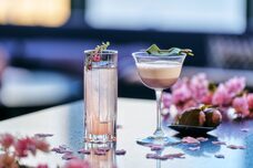 みなとみらいPRセンターのプレスリリース画像5