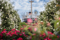 みなとみらいPRセンターのプレスリリース画像3