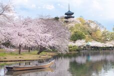 みなとみらいPRセンターのプレスリリース画像2