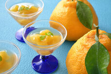 みなとみらいPRセンターのプレスリリース画像6