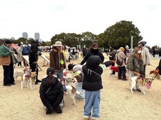 みなとみらいPRセンターのプレスリリース画像3