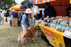 みなとみらいPRセンターのプレスリリース画像4