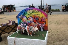 みなとみらいPRセンターのプレスリリース画像5