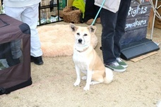 みなとみらいPRセンターのプレスリリース画像2