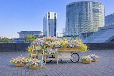 みなとみらいPRセンターのプレスリリース画像2