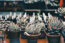 みなとみらいPRセンターのプレスリリース画像10