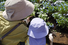 みなとみらいPRセンターのプレスリリース画像17