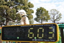 みなとみらいPRセンターのプレスリリース画像13