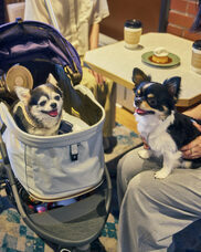 みなとみらいPRセンターのプレスリリース画像19