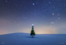 みなとみらいPRセンターのプレスリリース画像12