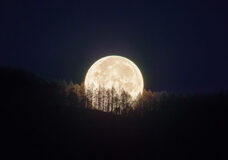 みなとみらいPRセンターのプレスリリース画像5