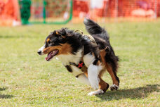 みなとみらいPRセンターのプレスリリース画像2