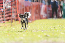 みなとみらいPRセンターのプレスリリース画像3