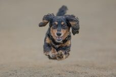 みなとみらいPRセンターのプレスリリース画像7