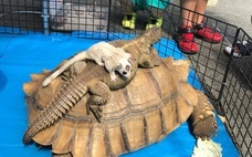 みなとみらいPRセンターのプレスリリース画像4