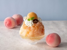 みなとみらいPRセンターのプレスリリース画像3