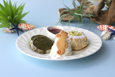 みなとみらいPRセンターのプレスリリース画像3