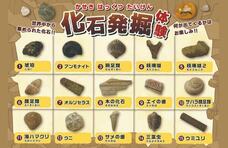 みなとみらいPRセンターのプレスリリース画像4