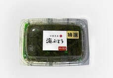 みなとみらいPRセンターのプレスリリース画像5