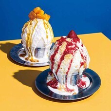 みなとみらいPRセンターのプレスリリース画像3