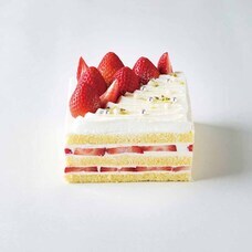 みなとみらいPRセンターのプレスリリース画像6
