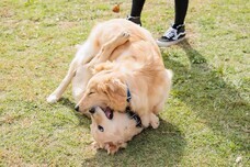 みなとみらいPRセンターのプレスリリース画像3