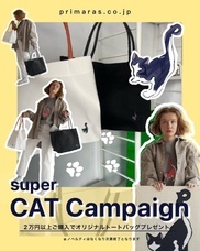 株式会社primarasのプレスリリース画像6