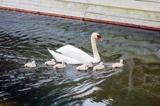 学校法人 都築学園のプレスリリース画像1