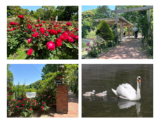 学校法人 都築学園のプレスリリース画像1