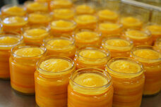 株式会社ローズメイのプレスリリース画像3