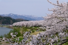 株式会社ローズメイのプレスリリース画像1