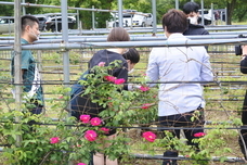 株式会社ローズメイのプレスリリース画像1