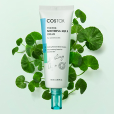 株式会社ドナのプレスリリース画像3