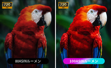 鑫三海株式会社のプレスリリース画像3