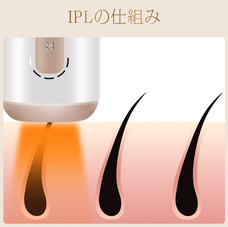 鑫三海株式会社のプレスリリース画像2