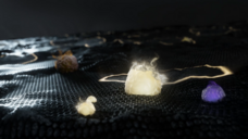 鑫三海株式会社のプレスリリース画像2