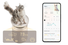 鑫三海株式会社のプレスリリース画像3