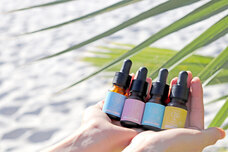 H&amp;F BELX Holdings株式会社のプレスリリース画像1