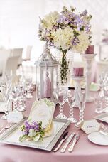 株式会社クリスタルインターナショナルのプレスリリース画像7