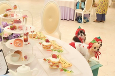 株式会社クリスタルインターナショナルのプレスリリース画像1