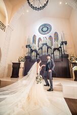 株式会社クリスタルインターナショナルのプレスリリース画像1