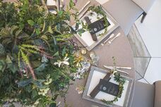 株式会社クリスタルインターナショナルのプレスリリース画像8